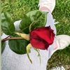 ladyesra8