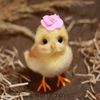 nony_nour_2