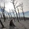 gosia_mango