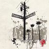 social.butterfly8803