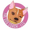 dog.coach.academy