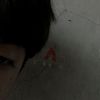 aditrawrr1