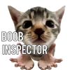 isaac_inspector15