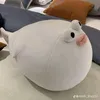 chabietdanggi