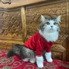 bachtuoc_dua