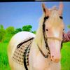 mukarram9425581607406
