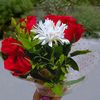 nabilaislam613