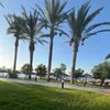 astridddt__