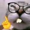 asparaguss_24911