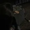 _fleur_vl