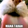 masa_lalunya37