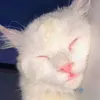 mochiii25_