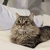.htssss