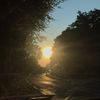 _jamie_220