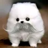 i_hope_to_grow_soon