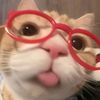 dvananturnip_