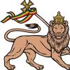 The Lion of Judah 💫