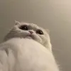 tmonz6_1