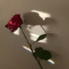anna.clltz