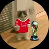 angel_virginio