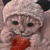 .foamy.charli