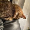 lisa_._62