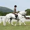 demileigh_010508