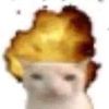 dingus__shmingus