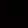 cataleya_614