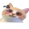 _nadiafarhani_123