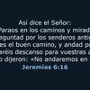 jeremias616_