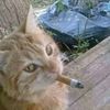 jones_bones72
