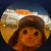 arynsasng27_