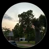 niklas_1161
