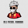 ali.sehil.gaming