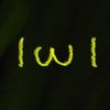 user0vf6rcnq6r