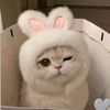 kikkooo_3