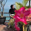 Andini