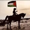 tahreemmalik556