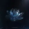 userilv1l0kk48