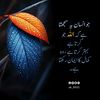 baloc_h_0032