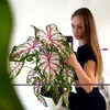 isabell_maurer_1995