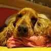lucreziaa.rocco93