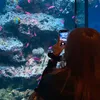 _nenenya