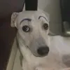 keiellyhk0