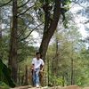 robypurba033