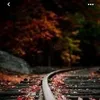 ruthruu5