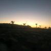 farida.mohamed780