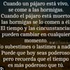 messi.ftbcl