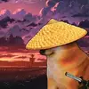 jswjw3